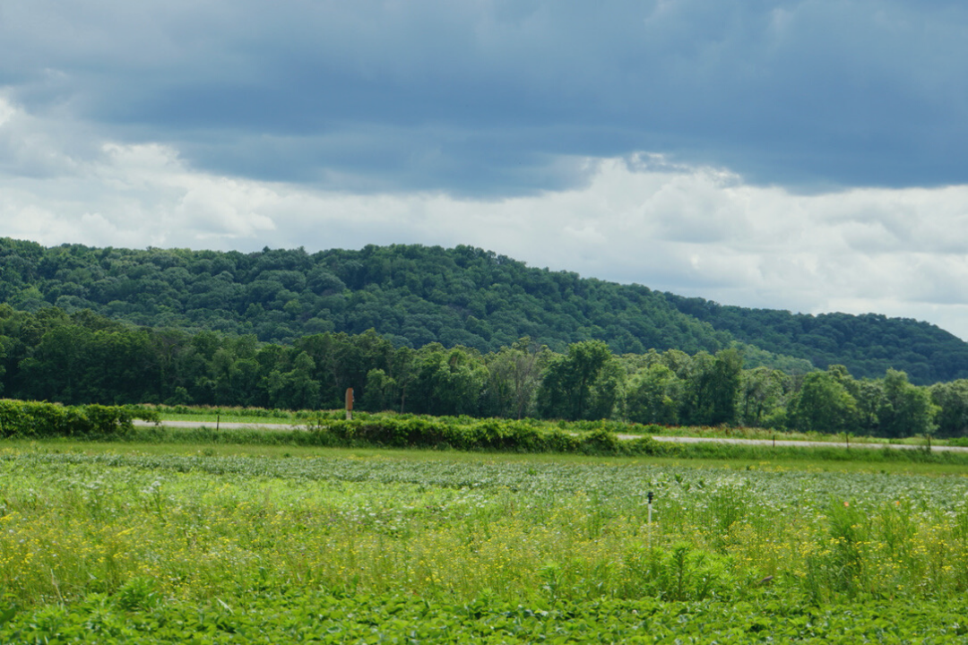 Farm field near Arena, Wisconsin
