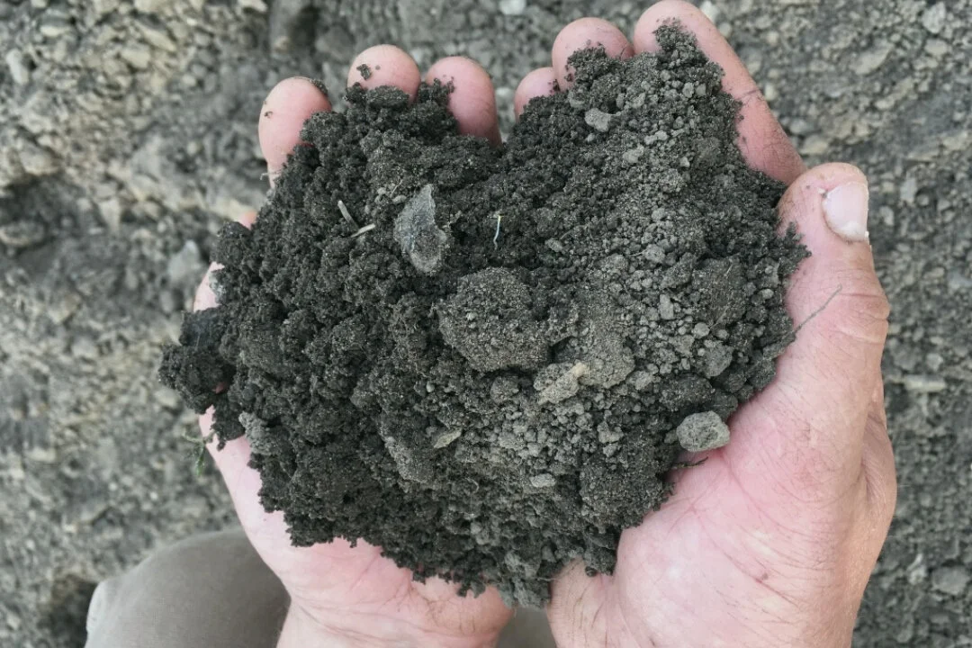 Rich, healthy soil at Singing Fawn Gardens